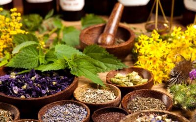 4 Powerful Herbs For PMS and Hormonal Balance